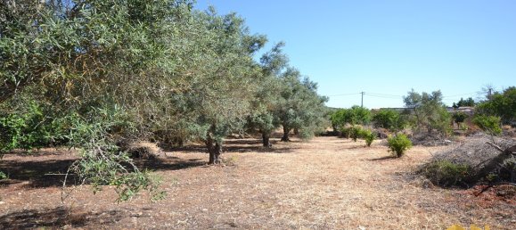  Land in Loule, Portugal No. 198388 2