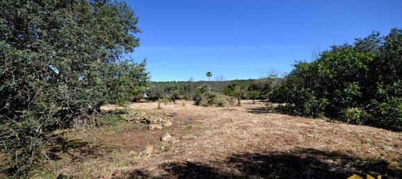  Land in Loule, Portugal No. 198388 10