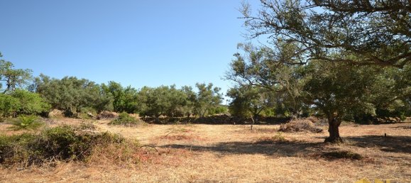  Land in Loule, Portugal No. 198388 6