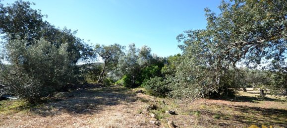  Land in Loule, Portugal No. 198388 12