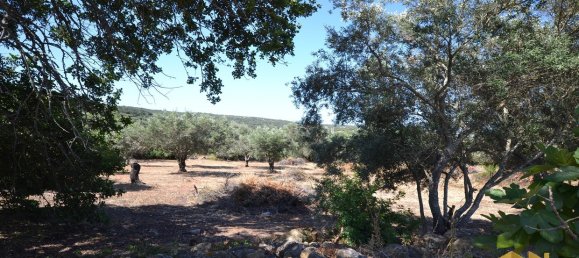  Land in Loule, Portugal No. 198388 13