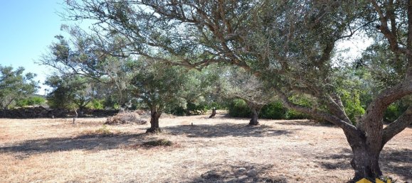  Land in Loule, Portugal No. 198388 8