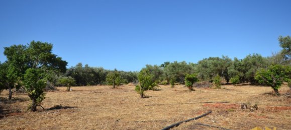  Land in Loule, Portugal No. 198388 7