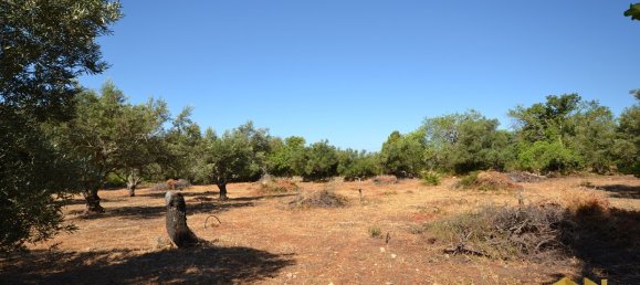  Land in Loule, Portugal No. 198388 4