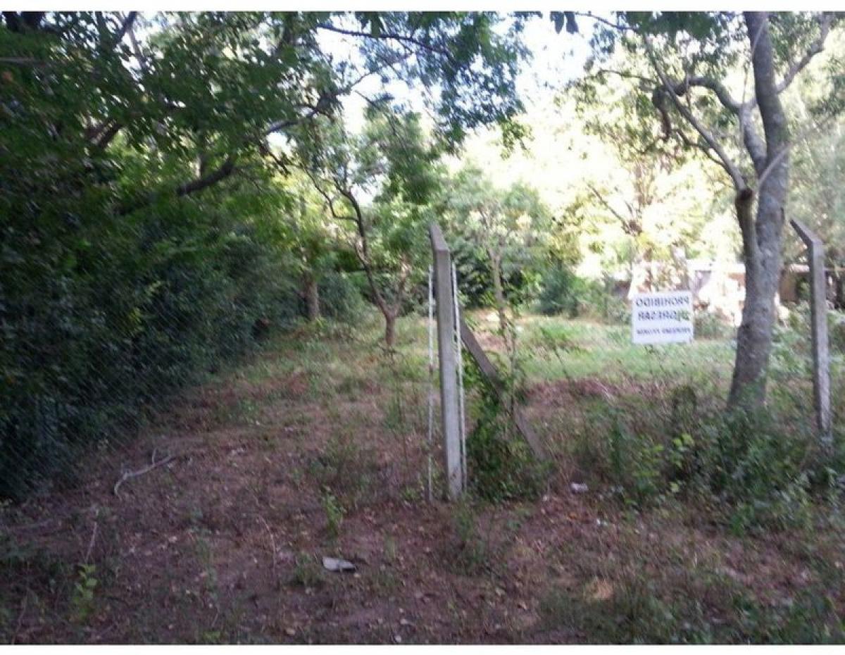  Land in Santa Fe, Argentina No. 35628