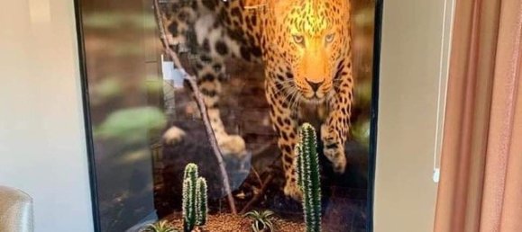 Villa 4+1 in Antalya, Turkey No. 34049 8