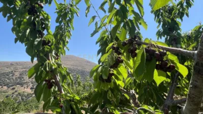 Terreno en Granada, Spain No. 195444