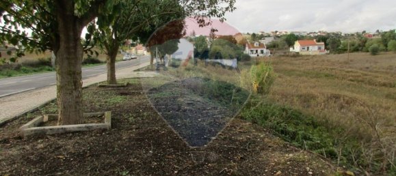 742m² Land in Cartaxo, Portugal No. 94960 2