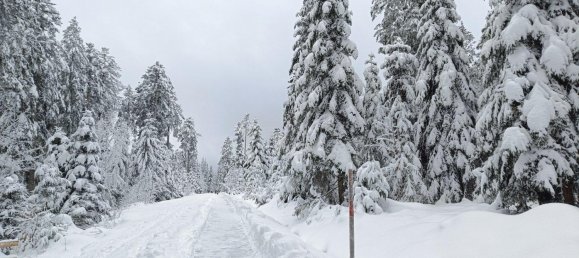 1 chambre Appartement à Freudenstadt, Germany No. 235247 19