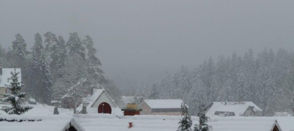 1 chambre Appartement à Freudenstadt, Germany No. 235247 21