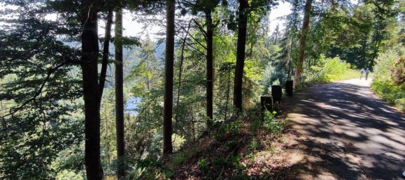 1 chambre Appartement à Freudenstadt, Germany No. 235247 17