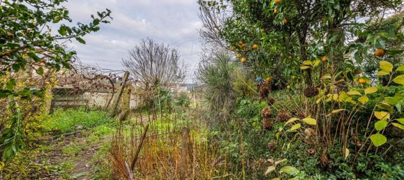 4 chambres Maison à Pereira, Portugal No. 175892 21