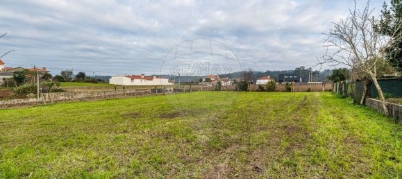 4 chambres Maison à Pereira, Portugal No. 175892 23