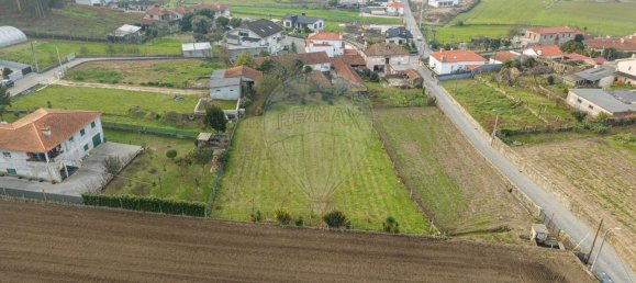 4 chambres Maison à Pereira, Portugal No. 175892 4