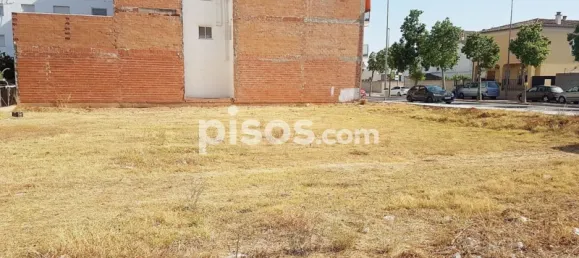  Land in Carcer, Spain No. 116468 6