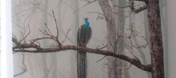 Дом с 3 спальнями в Харбург, Германия № 308267 17