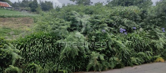 1080m² Land in Santana, Portugal No. 89508 2