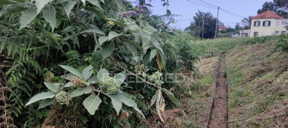 1080m² Land in Santana, Portugal No. 89508 11