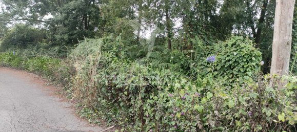 1080m² Land in Santana, Portugal No. 89508 19