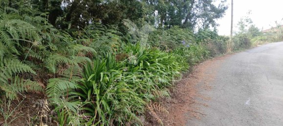 1080m² Land in Santana, Portugal No. 89508 12