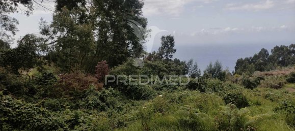 1080m² Land in Santana, Portugal No. 89508 18