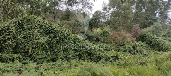 1080m² Land in Santana, Portugal No. 89508 17