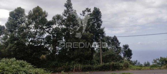 1080m² Land in Santana, Portugal No. 89508 8