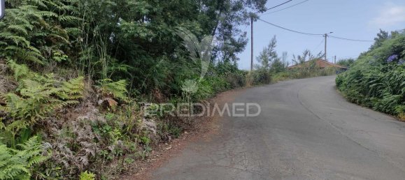 1080m² Land in Santana, Portugal No. 89508 4