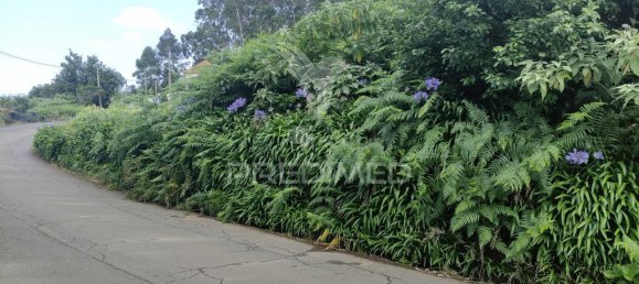 1080m² Land in Santana, Portugal No. 89508 13