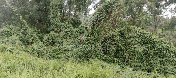 1080m² Land in Santana, Portugal No. 89508 20