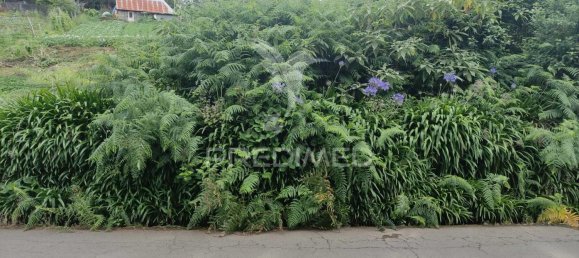 1080m² Land in Santana, Portugal No. 89508 16