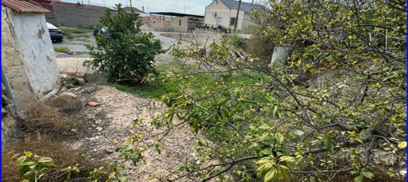 3 chambres Maison à Alicante, Spain No. 116993 53