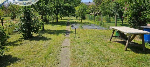 Grundstück in Laa an der Thaya, Austria, Nr. 163638 2