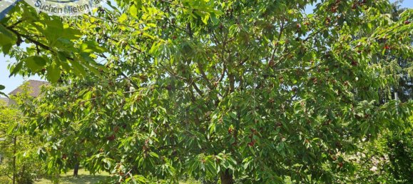 Grundstück in Laa an der Thaya, Austria, Nr. 163638 9