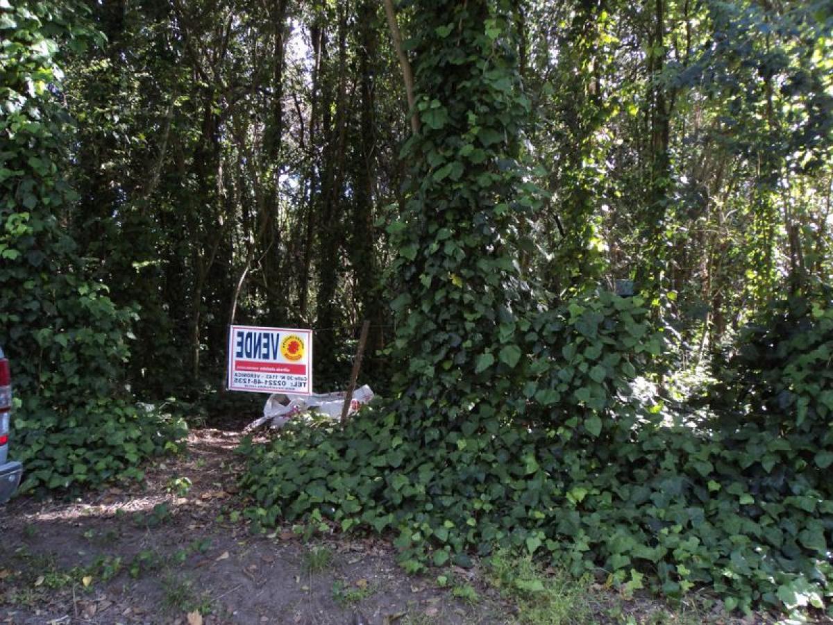  Land in Punta Indio, Argentina No. 37750