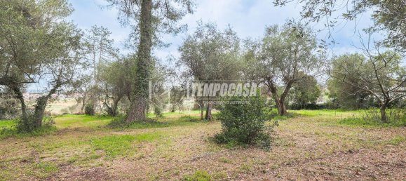 14 bedrooms Apartment in Misano Adriatico, Italy No. 319349 46