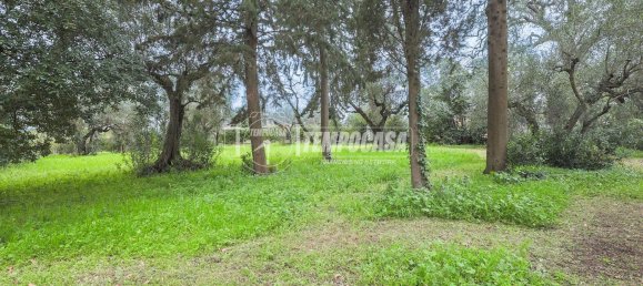 14 bedrooms Apartment in Misano Adriatico, Italy No. 319349 45