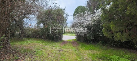 14 bedrooms Apartment in Misano Adriatico, Italy No. 319349 49