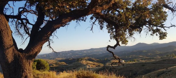 Земельный участок в Михас, Испания № 151902 4