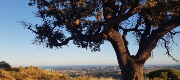 Земельный участок в Михас, Испания № 151902 5