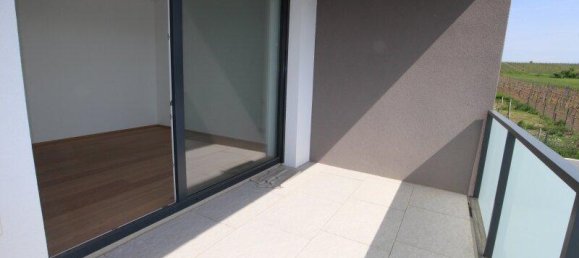 5-salle Maison de ville à Monchhof, Austria No. 189451 24