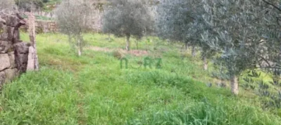 Земельный участок 2100м² в Оренсе, Испания № 140492 7