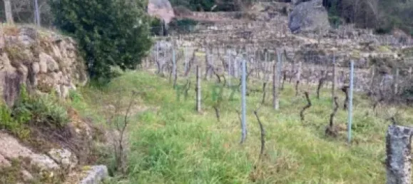 Земельный участок 2100м² в Оренсе, Испания № 140492 4