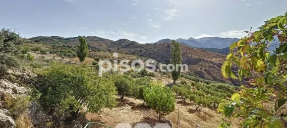 4 bedrooms House in Alcaucin, Spain No. 45150 33