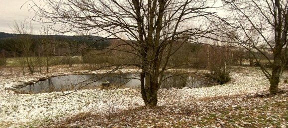 4 bedrooms Castles in Bavaria, Germany No. 145365 43