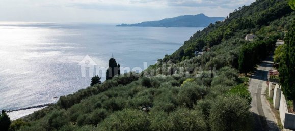 2 bedrooms Apartment in Chiavari, Italy No. 117469 13