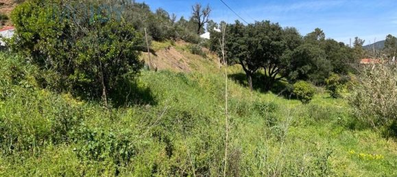 23970m² Land in Mexilhoeira Grande, Portugal No. 82000 9