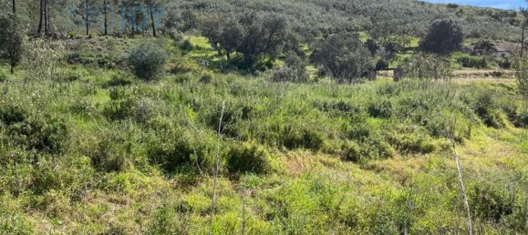 23970m² Land in Mexilhoeira Grande, Portugal No. 82000 10