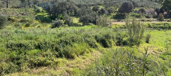 23970m² Land in Mexilhoeira Grande, Portugal No. 82000 13