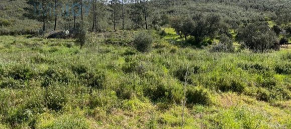23970m² Land in Mexilhoeira Grande, Portugal No. 82000 11